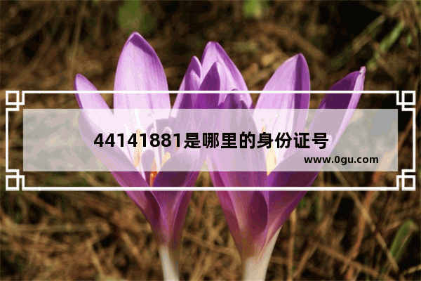 44141881是哪里的身份证号