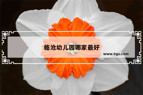 临沧幼儿园哪家最好
