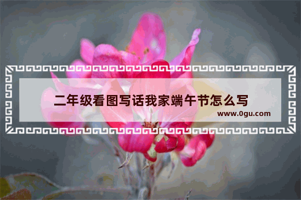 二年级看图写话我家端午节怎么写