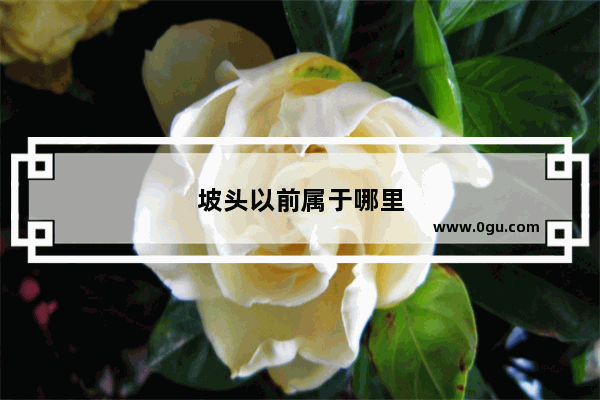 坡头以前属于哪里