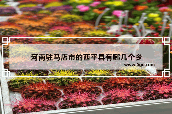 河南驻马店市的西平县有哪几个乡