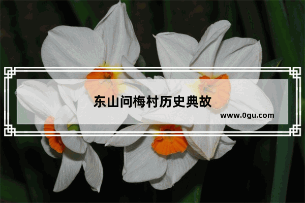 东山问梅村历史典故
