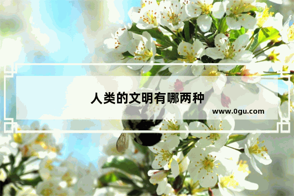 人类的文明有哪两种