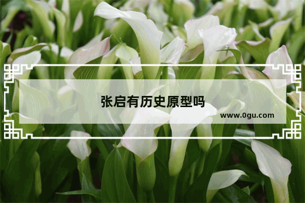 张启有历史原型吗