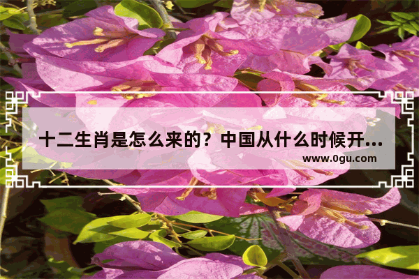 十二生肖是怎么来的？中国从什么时候开始有十二生肖的