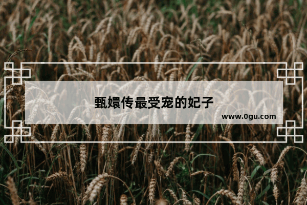 甄嬛传最受宠的妃子