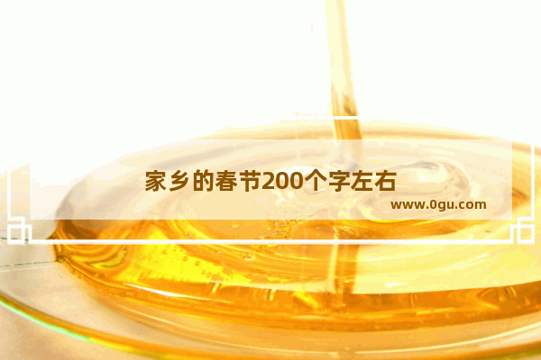家乡的春节200个字左右