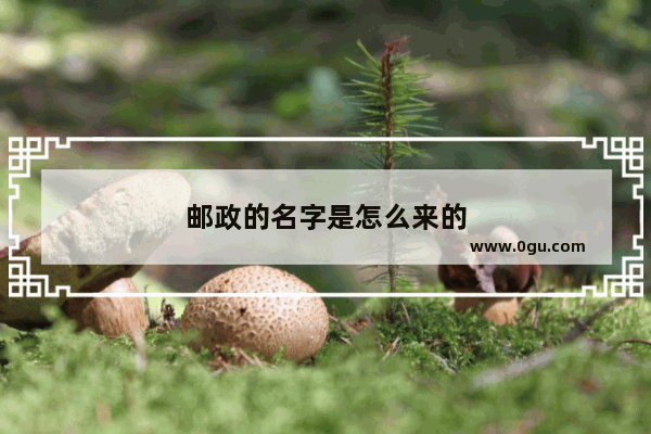 邮政的名字是怎么来的