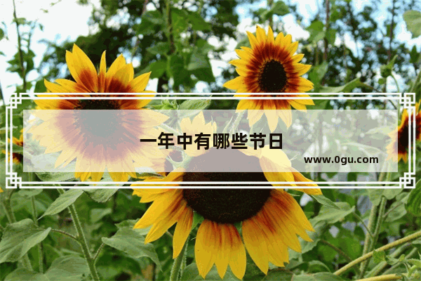 一年中有哪些节日