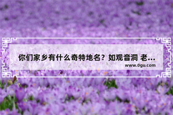 你们家乡有什么奇特地名？如观音洞 老虎岩等等！说来听听