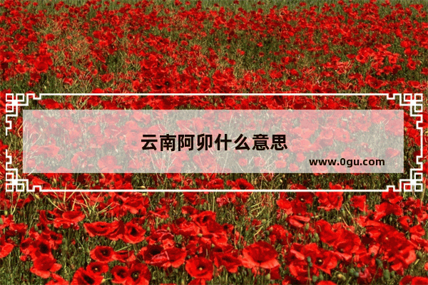 云南阿卯什么意思