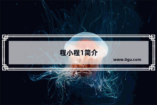 程小程1简介