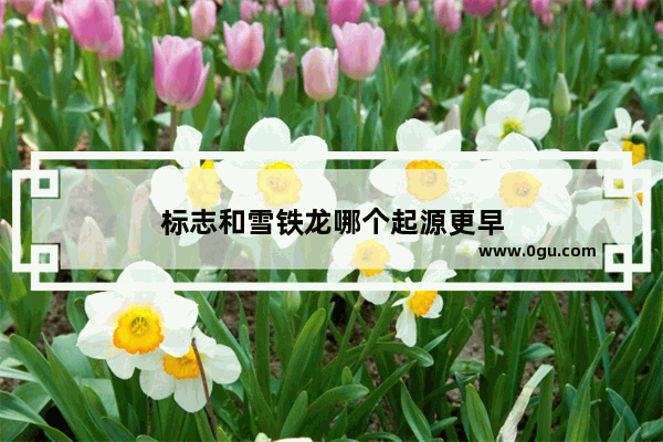 标志和雪铁龙哪个起源更早