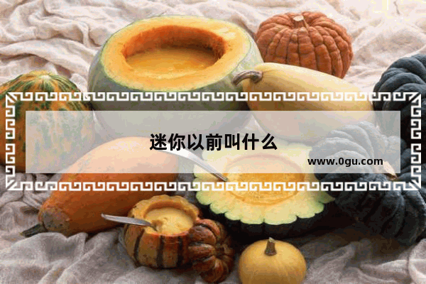 迷你以前叫什么