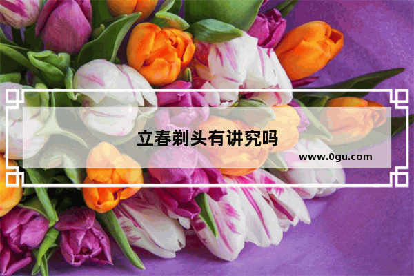 立春剃头有讲究吗
