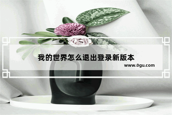 我的世界怎么退出登录新版本
