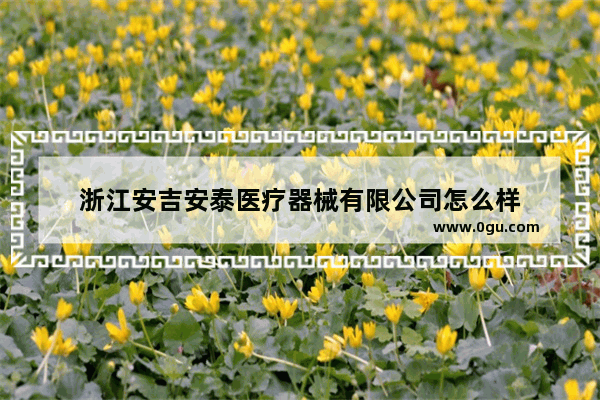 浙江安吉安泰医疗器械有限公司怎么样
