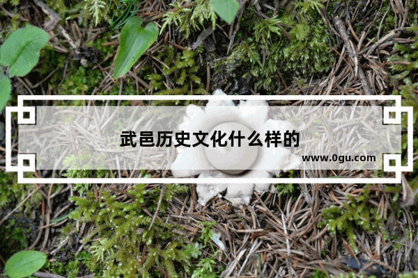武邑历史文化什么样的