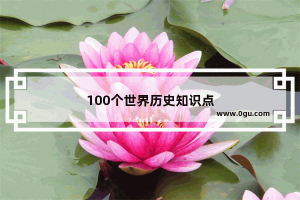 100个世界历史知识点