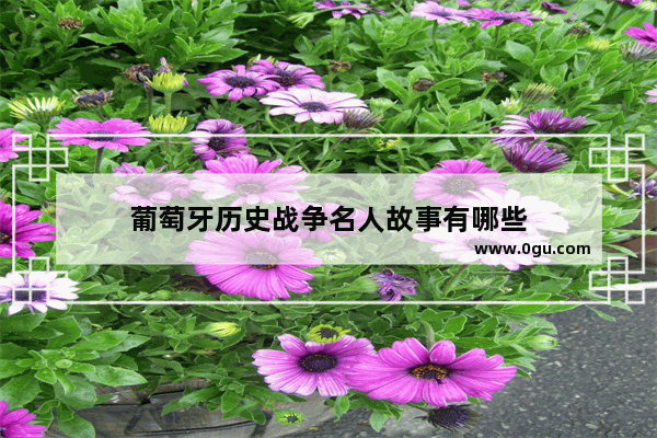 葡萄牙历史战争名人故事有哪些