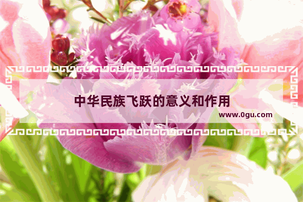 中华民族飞跃的意义和作用