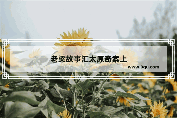 老梁故事汇太原奇案上