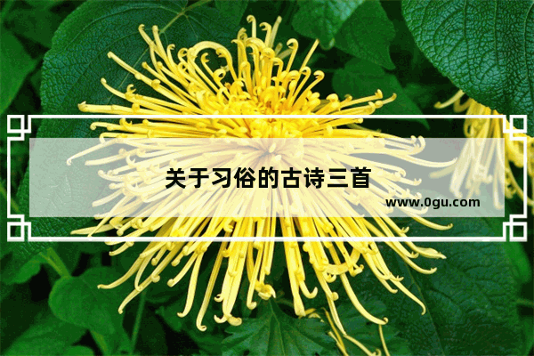 关于习俗的古诗三首