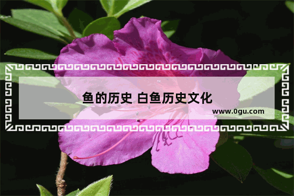 鱼的历史 白鱼历史文化