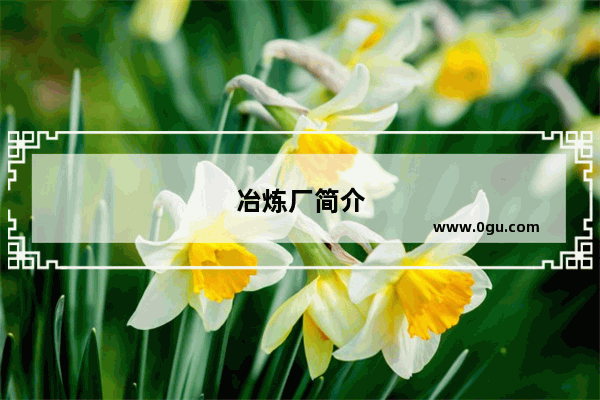 冶炼厂简介