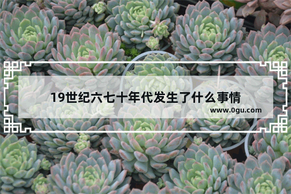 19世纪六七十年代发生了什么事情