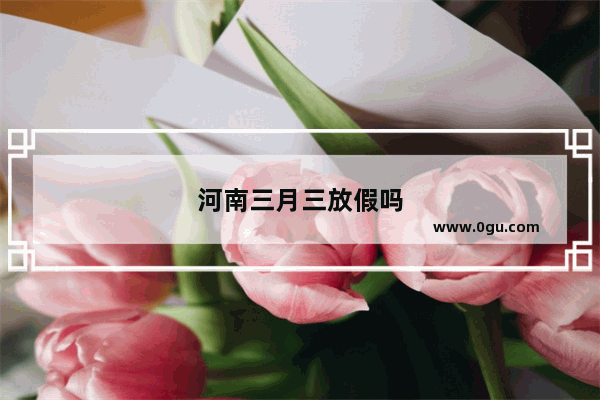 河南三月三放假吗