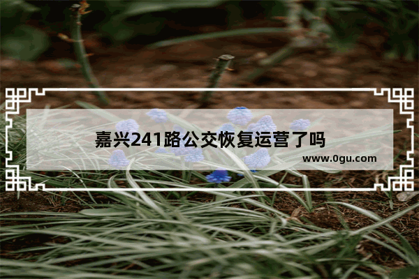 嘉兴241路公交恢复运营了吗