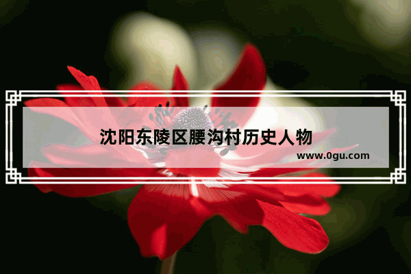 沈阳东陵区腰沟村历史人物