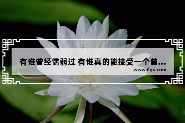 有谁曾经懦弱过 有谁真的能接受一个曾经懦弱的人