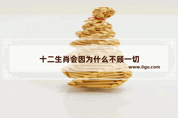 十二生肖会因为什么不顾一切