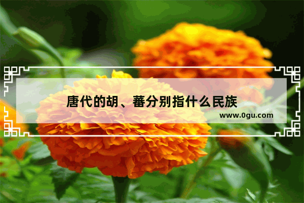 唐代的胡、蕃分别指什么民族