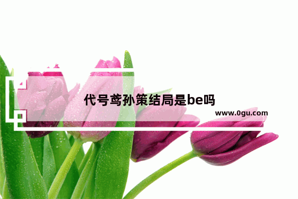 代号鸢孙策结局是be吗