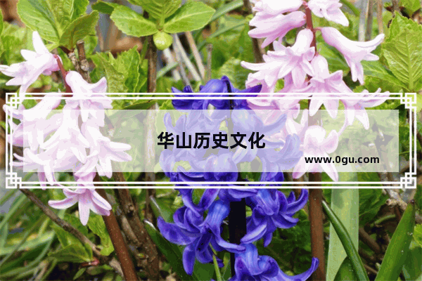 华山历史文化