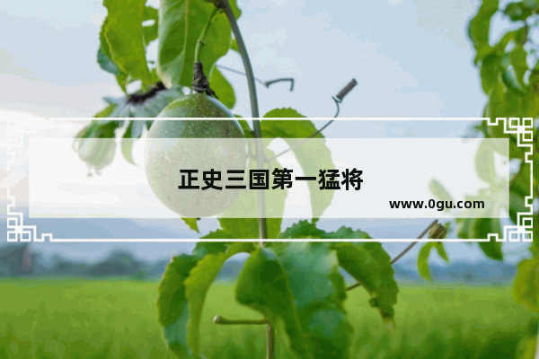正史三国第一猛将
