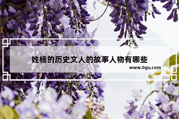 姓杨的历史文人的故事人物有哪些