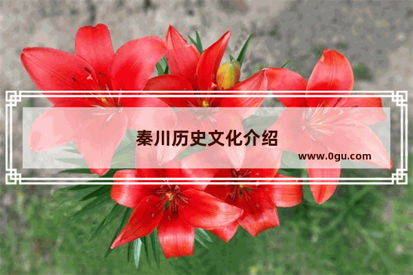 秦川历史文化介绍