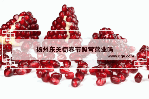 扬州东关街春节照常营业吗