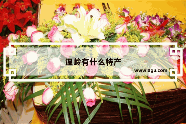 温岭有什么特产