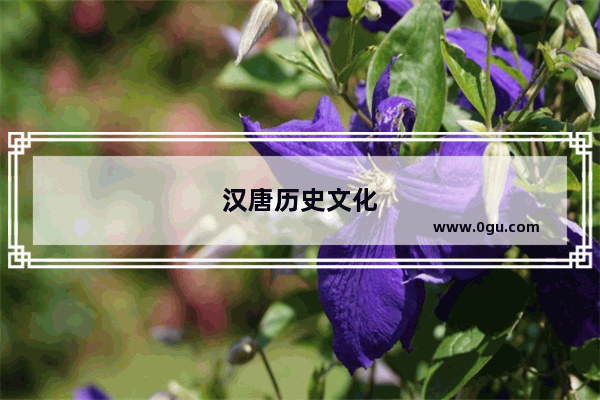 汉唐历史文化