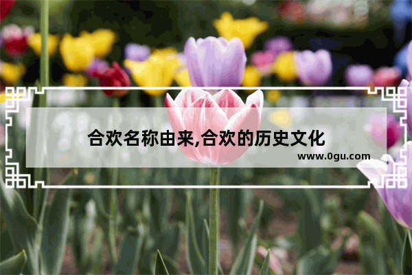 合欢名称由来,合欢的历史文化