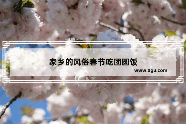 家乡的风俗春节吃团圆饭