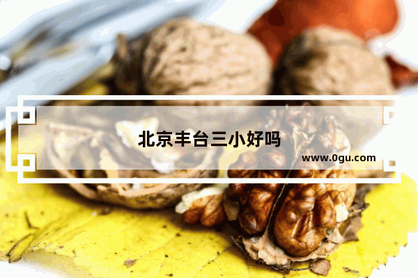 北京丰台三小好吗