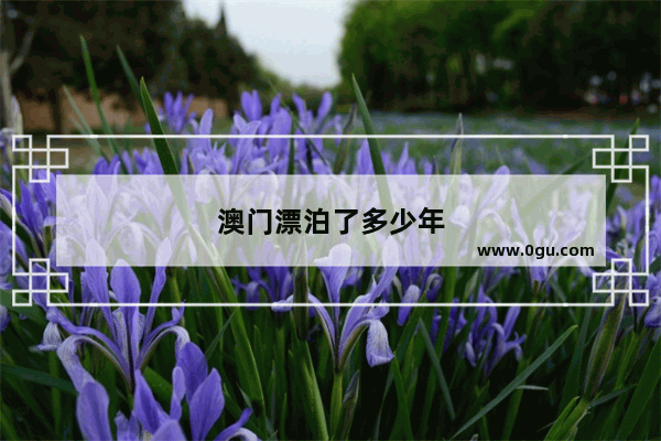 澳门漂泊了多少年