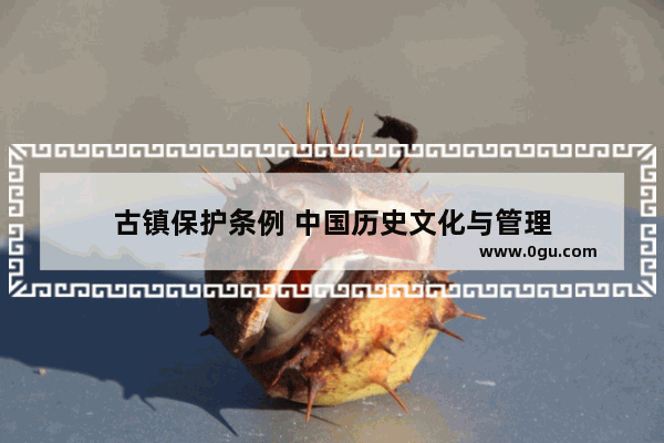 古镇保护条例 中国历史文化与管理