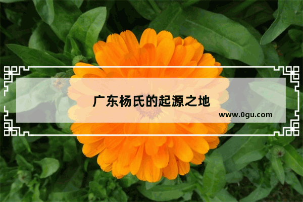 广东杨氏的起源之地
